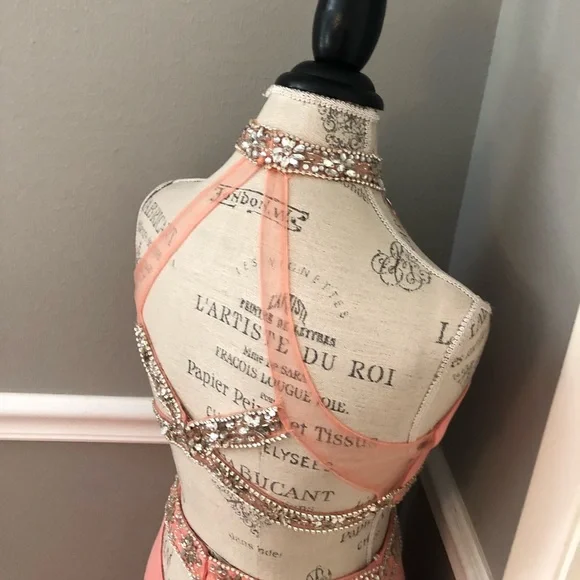 NEW ALYCE PARIS SZ 6 PINK CORAL TWO PIECE BEAD ILLUSION FORMAL EVENING GOWN - Picture 12 of 15